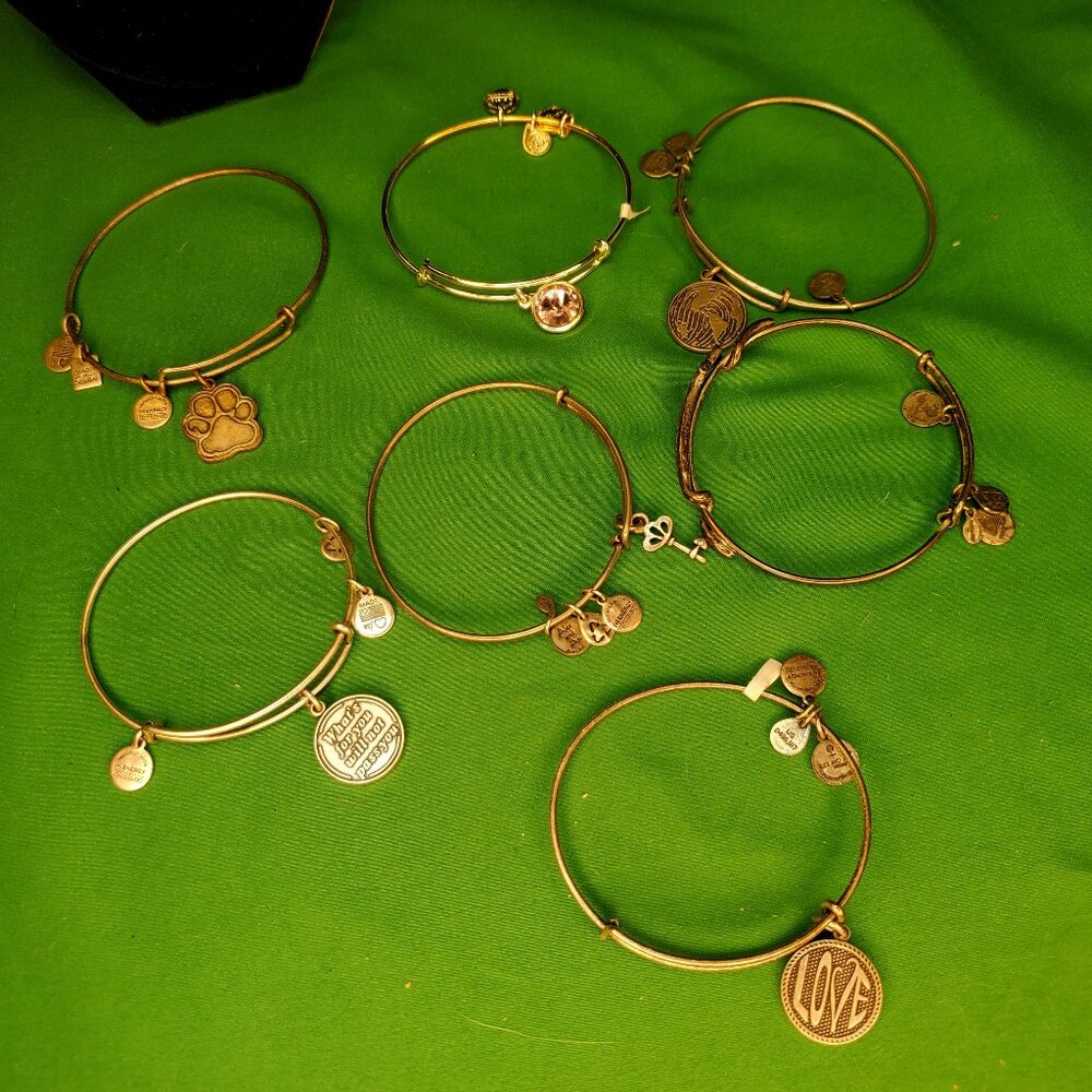 Alex Ani Bracelet Lot 7 Bracelets Charms Love Key Earth Sterling Silver